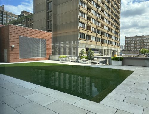 Navigating the Pet Maze: A Guide to Condominium Pet Policies in Center City Philadelphia